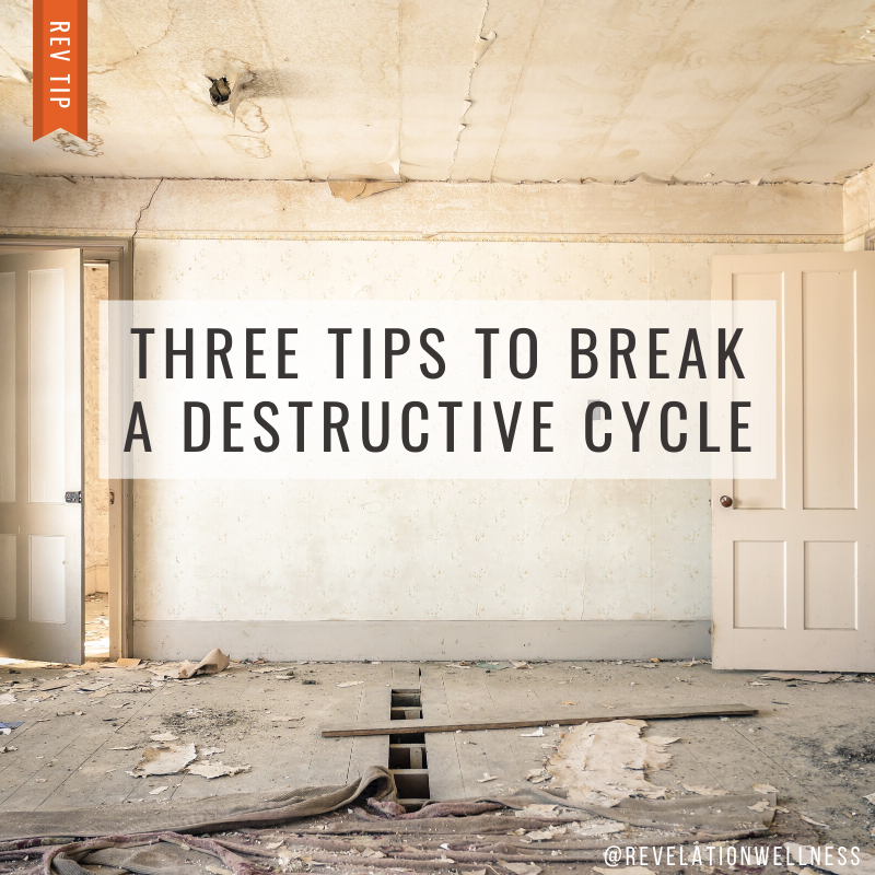 destructive cycle