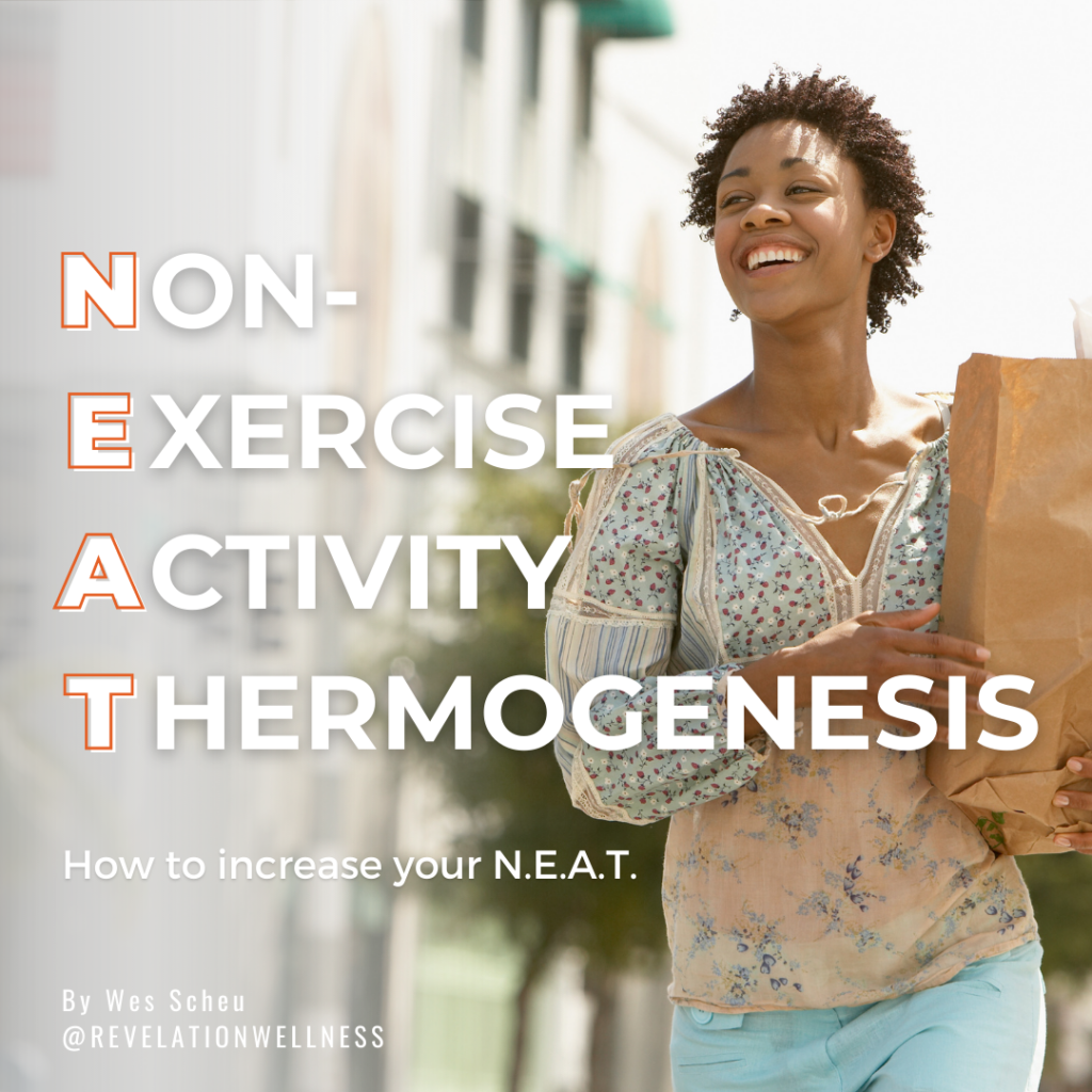 NEAT exercise blog